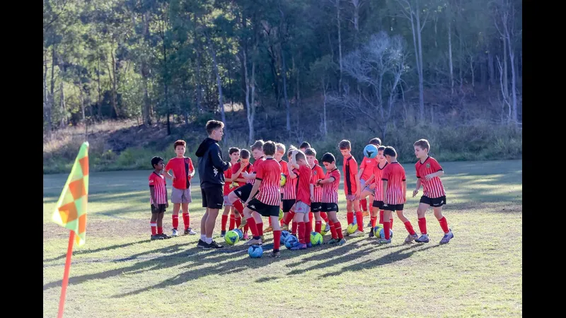 holland park hawks va logan lightning google 2635